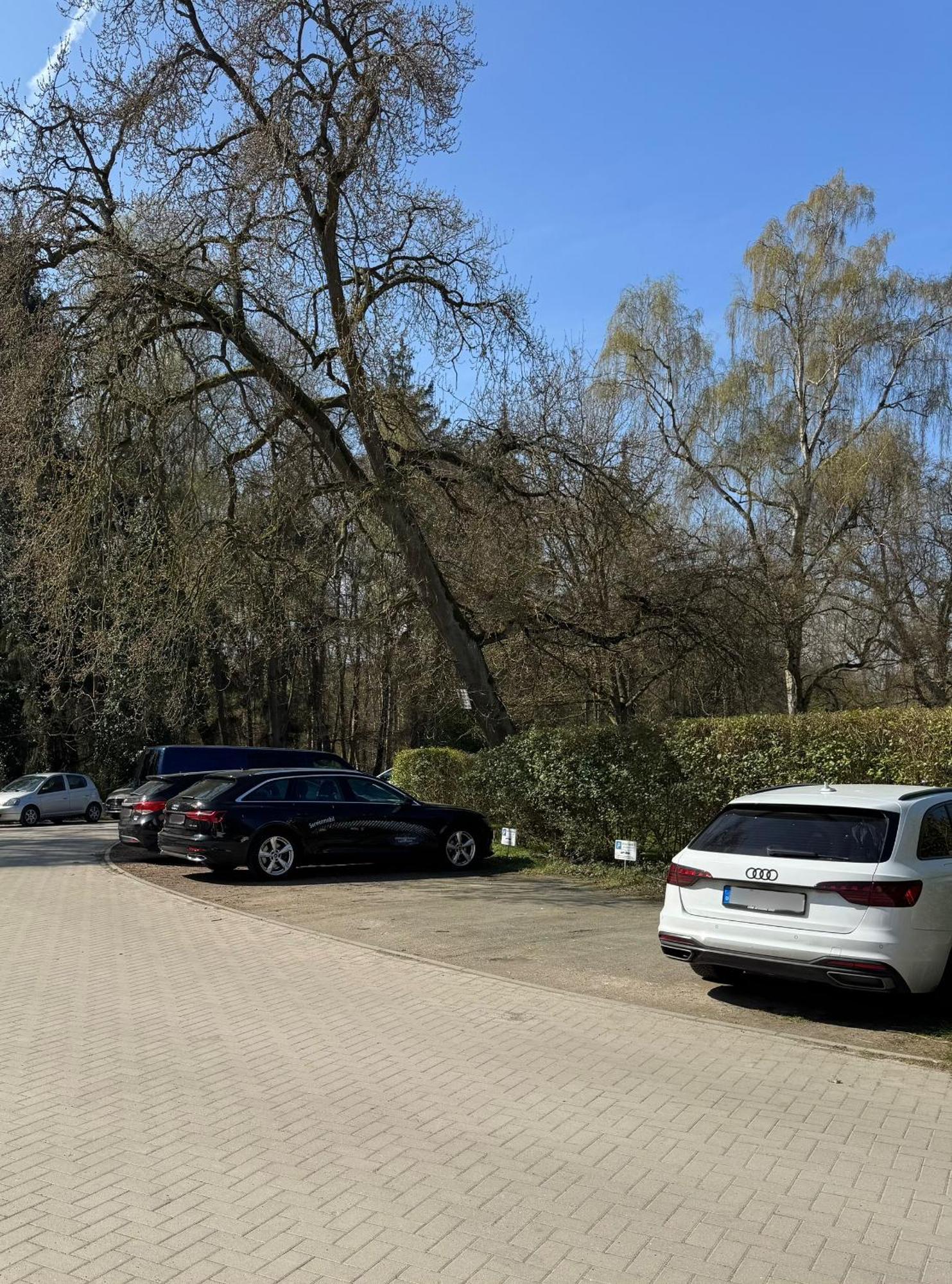 Strandresidenz Villa Verdi Ostseebad Kühlungsborn المظهر الخارجي الصورة